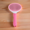 Dream Pet Beds - Pet Grooming Brush